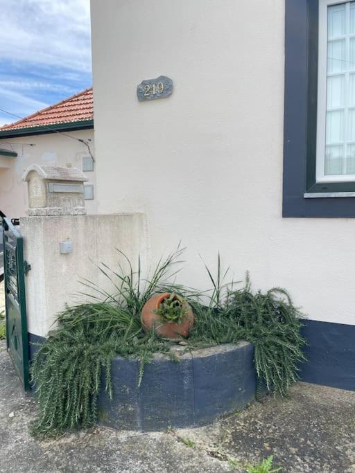 Casa Da Celeste Maljoga de Proenca Exteriér fotografie